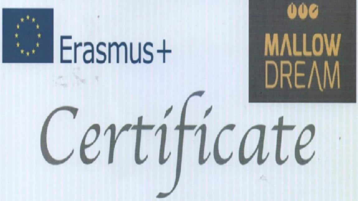 Erasmus+ Mesleki Eğitim Akreditasyon Projesi